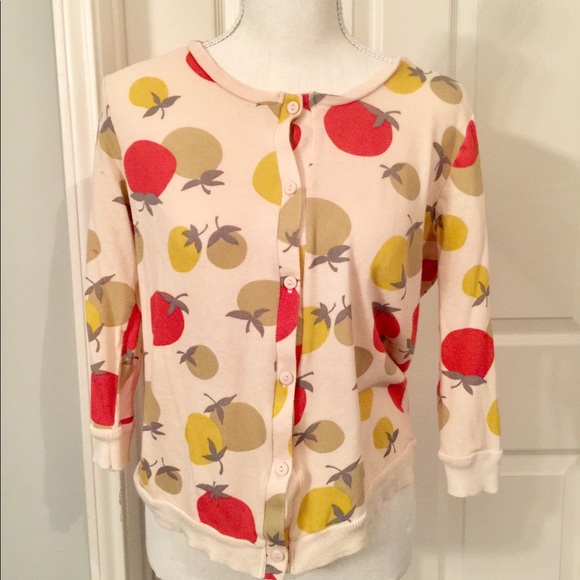 Anthropologie Sweaters - Apple Sweater Anthropologie Sweaters - Apple Sweater